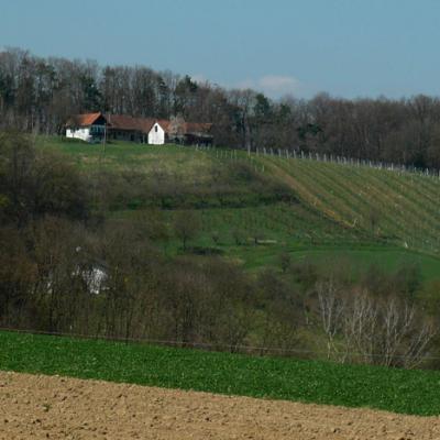 Weingarten Ansicht